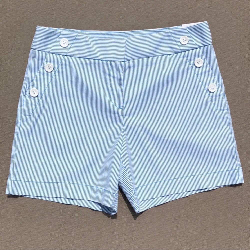 LOFT Blue and White Pinstripe Cotton Shorts